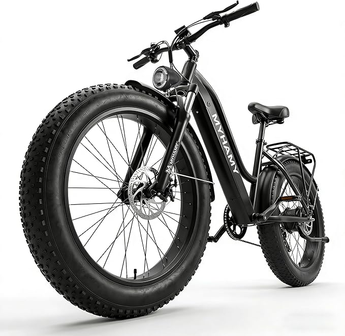 Electric Bike 48V 2000W Peak Ebike