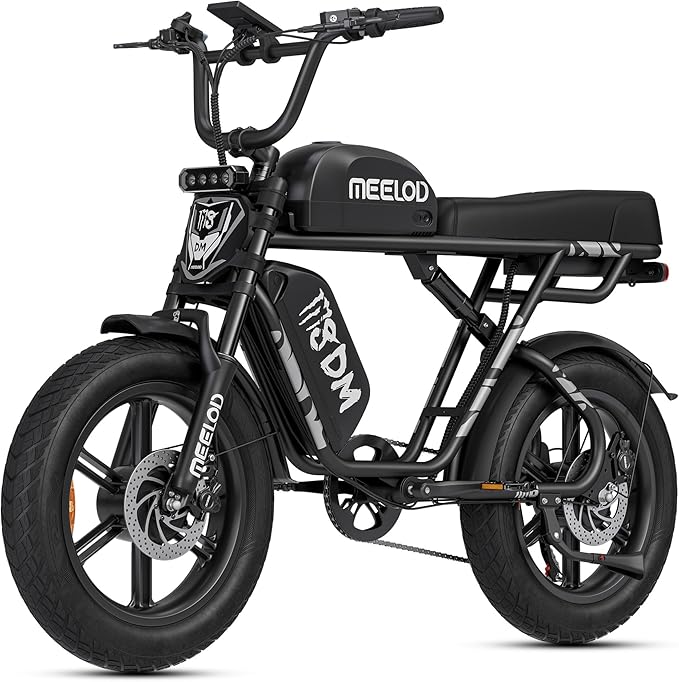 Electric Bike 32AH Dual Motor