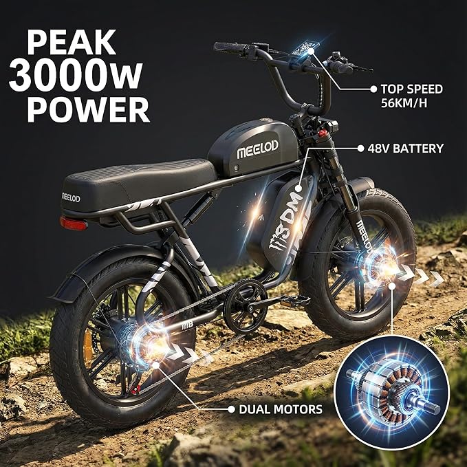 Electric Bike 32AH Dual Motor