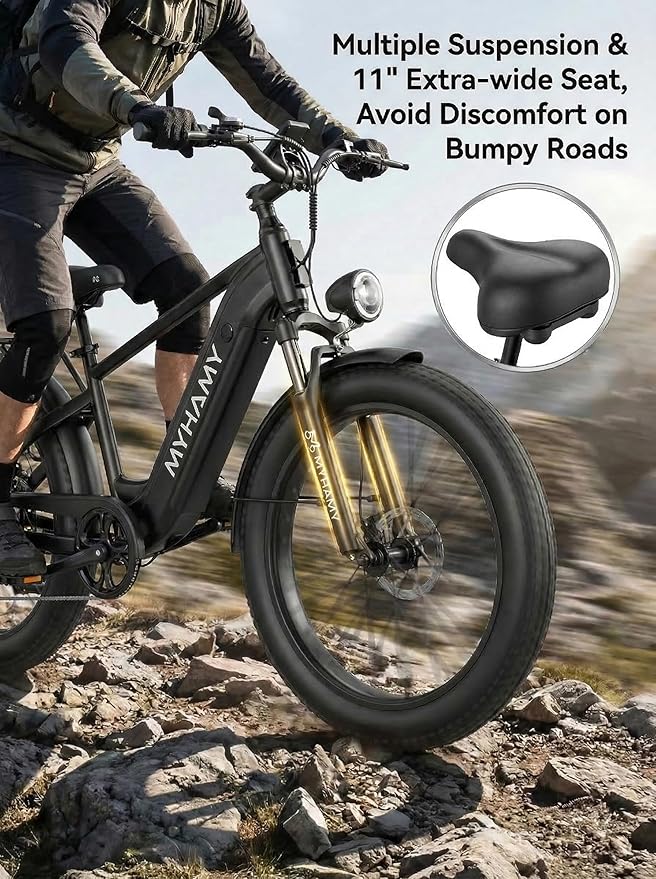 Electric Bike 48V 2000W Peak Ebike