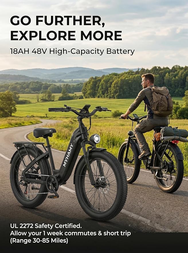 Electric Bike 48V 2000W Peak Ebike