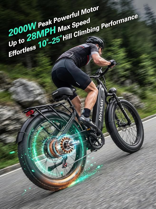 Electric Bike 48V 2000W Peak Ebike