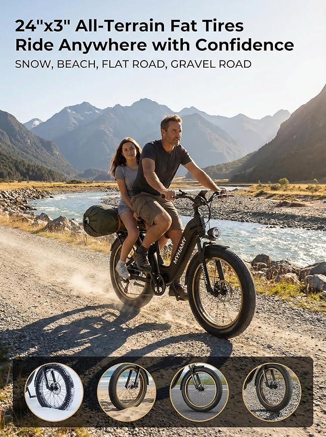 Electric Bike 48V 2000W Peak Ebike