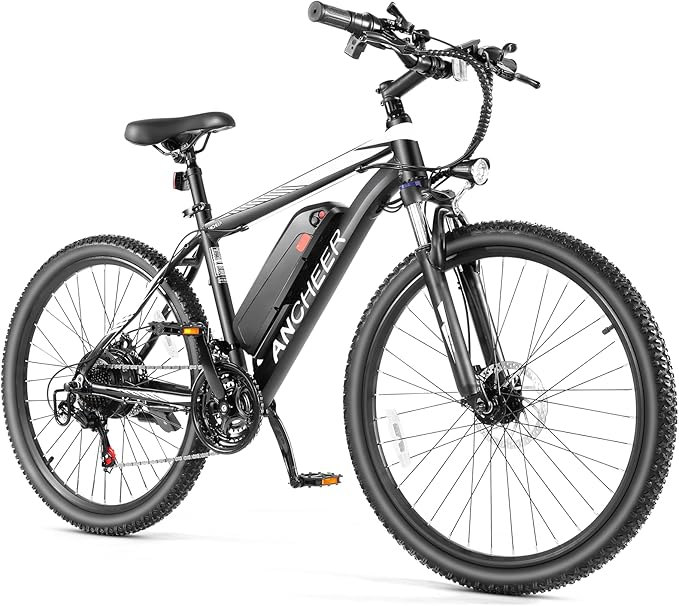 Electric Bike 750W Commuter Ebike